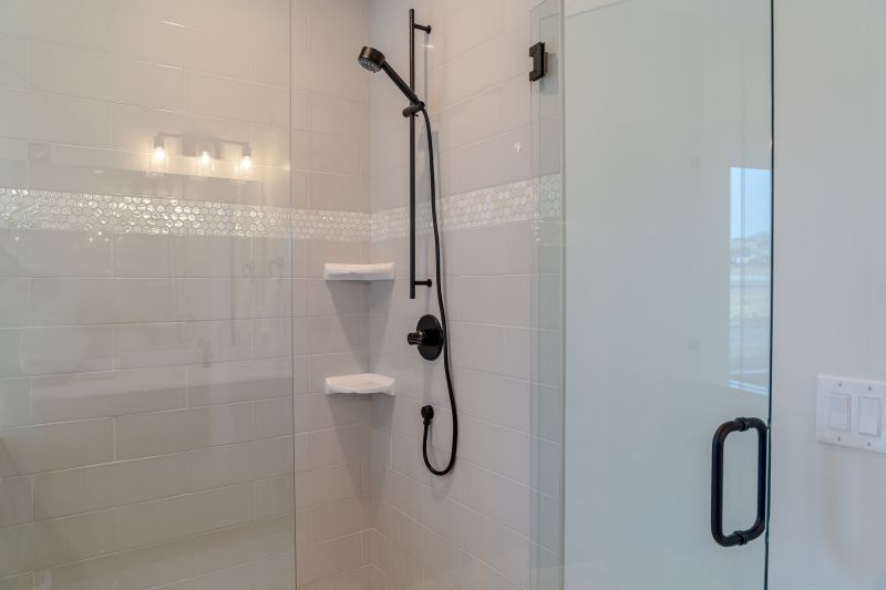 Elegant Shower Niche
